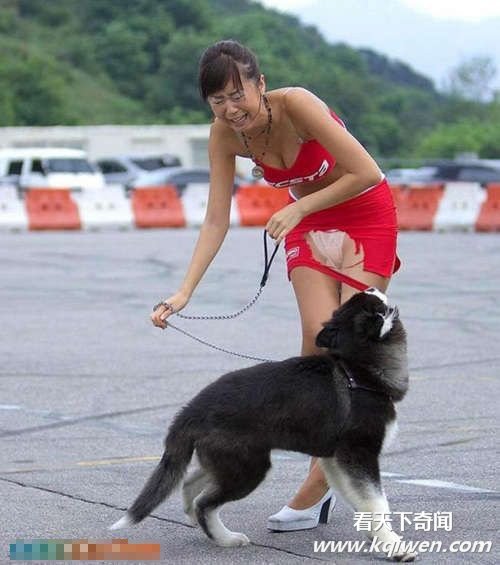 天底下最大胆的色狼最疯狂的狗当街当众非礼女人